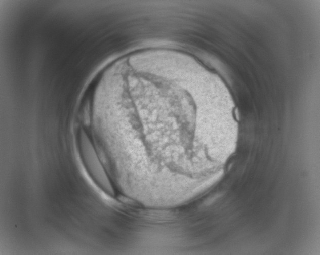 X0000081281007200702081948