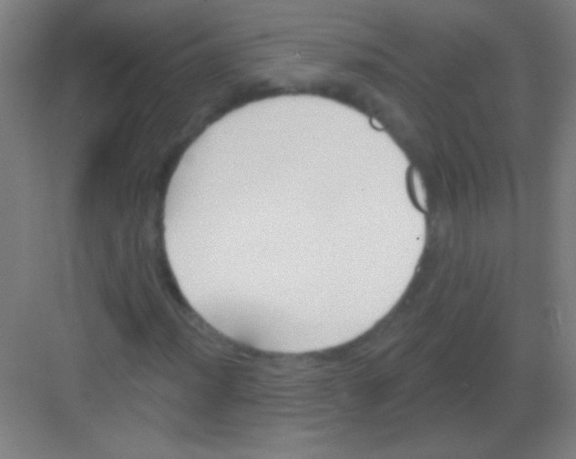 X0000081281012200702081947