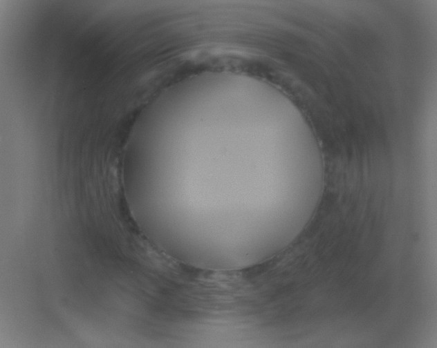 X0000081281013200702081947