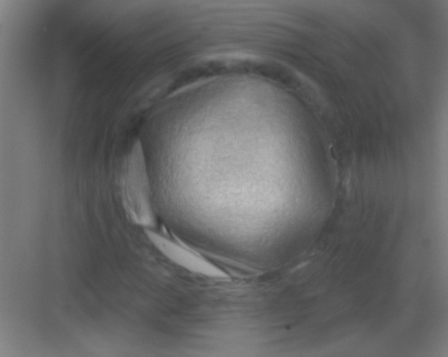 X0000081281014200702081947