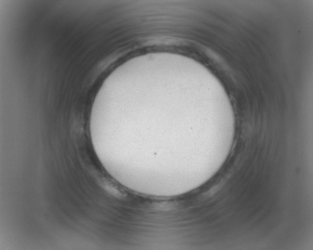 X0000081281017200702081947