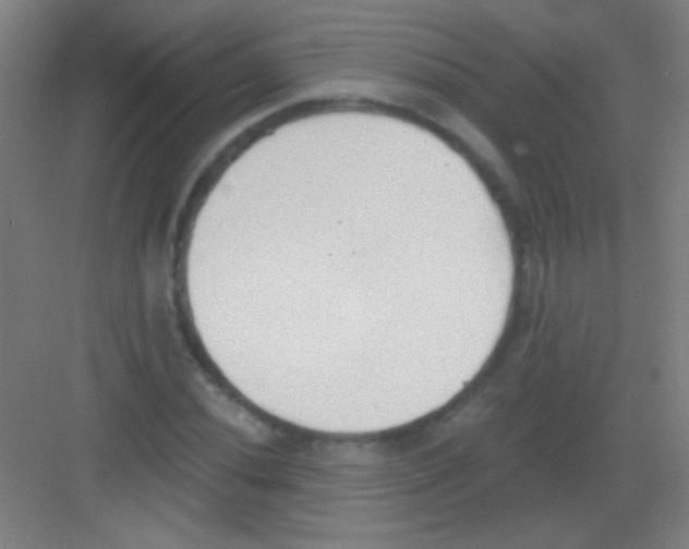 X0000081281020200702081947