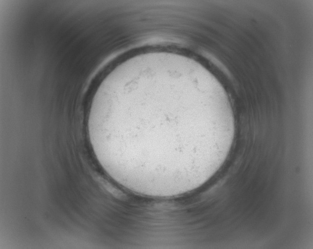 X0000081281021200702081947