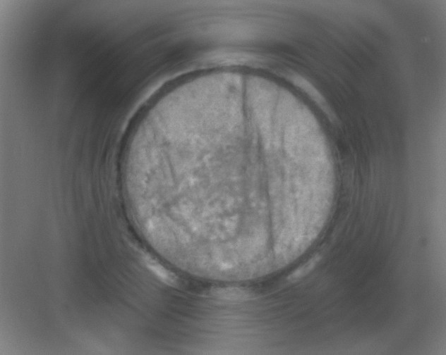 X0000081281023200702081947