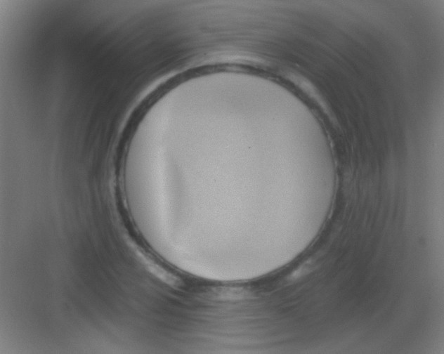 X0000081281024200702081947