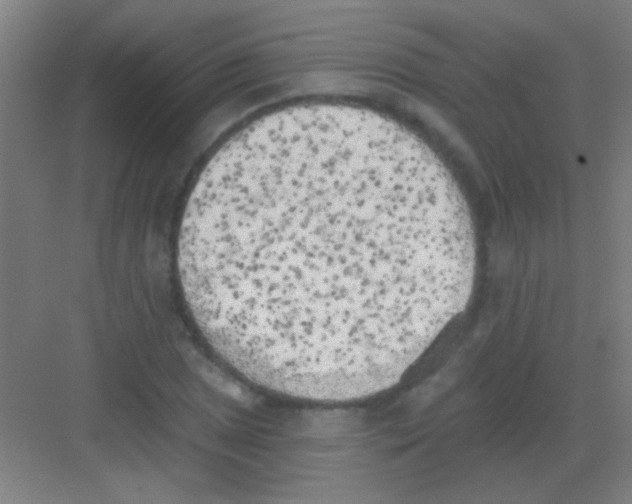 X0000081281025200702081947