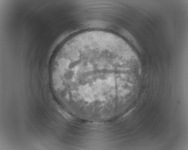 X0000081281027200702081947