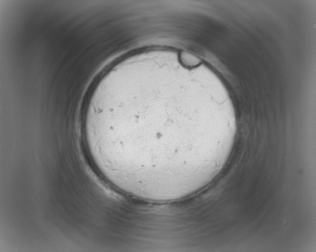 X0000081281028200702081947