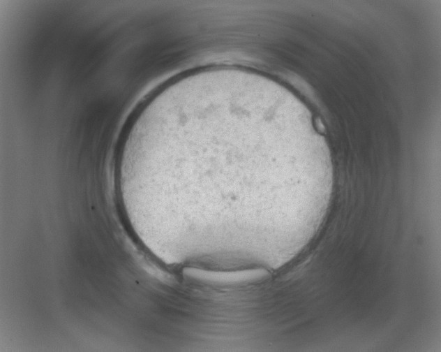 X0000081281032200702081947