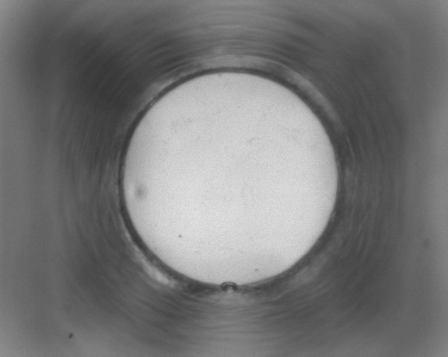 X0000081281033200702081947