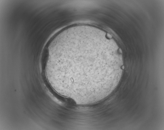 X0000081281036200702081947