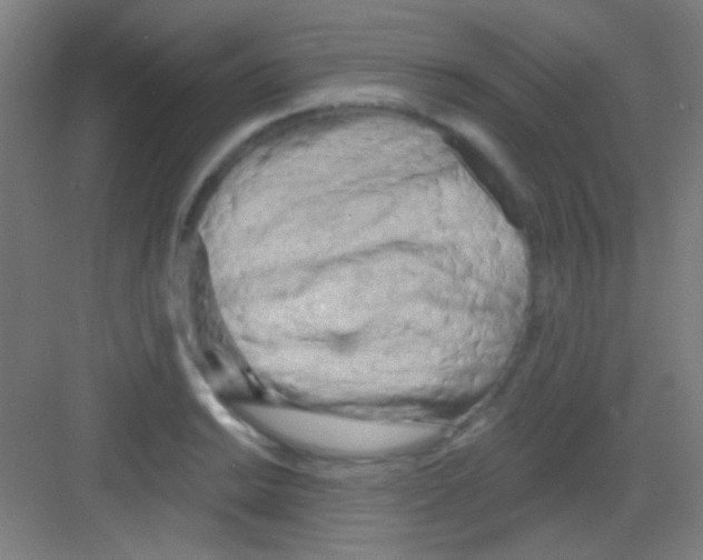 X0000081281038200702081947