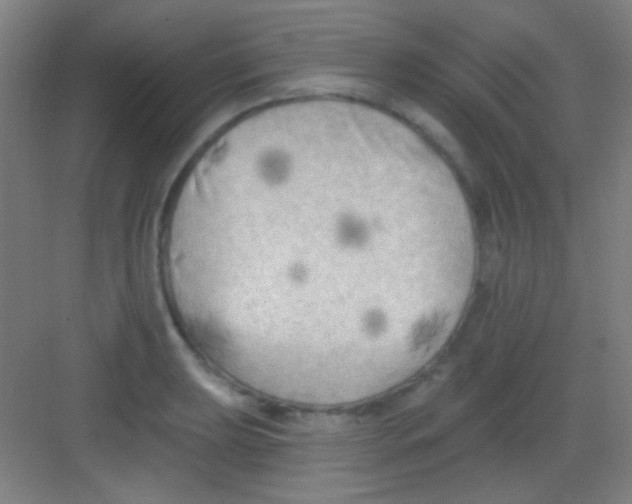 X0000081281039200702081947