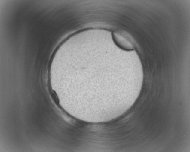 X0000081281040200702081947