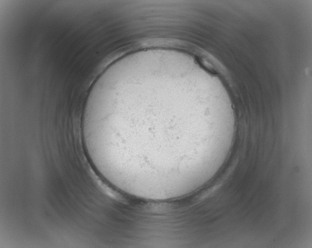 X0000081281041200702081947