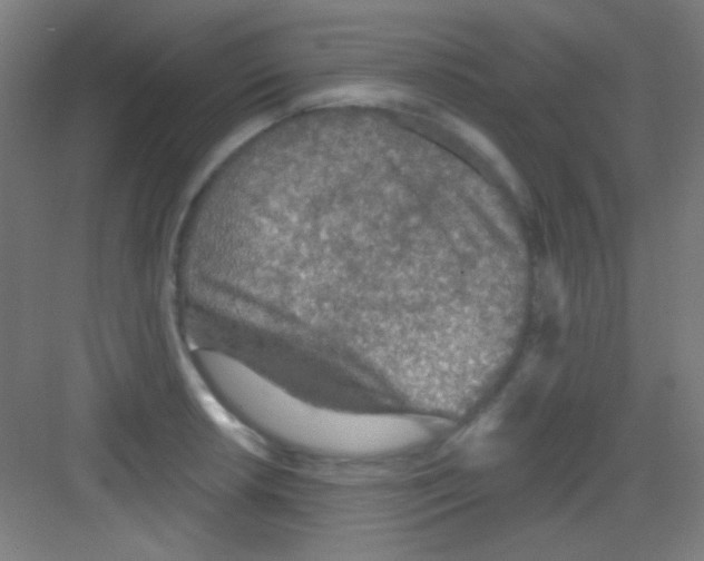 X0000081281042200702081947