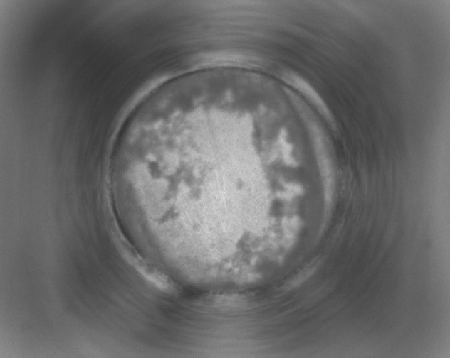 X0000081281043200702081947