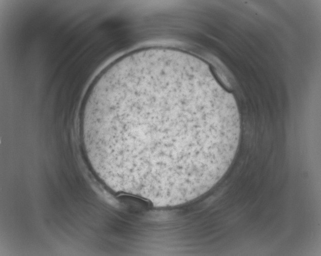 X0000081281044200702081947