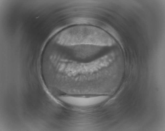 X0000081281045200702081947