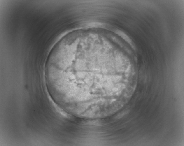 X0000081281047200702081947