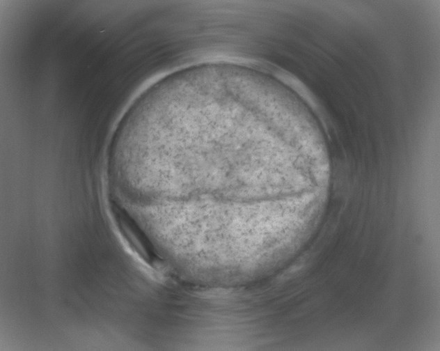 X0000081281048200702081947