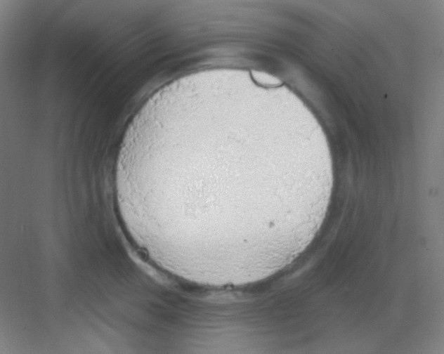 X0000081281049200702081947