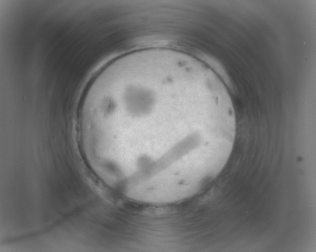 X0000081281051200702081948