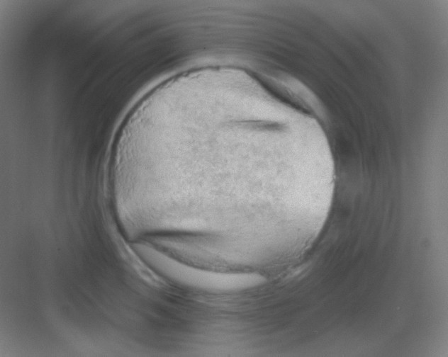 X0000081281052200702081948