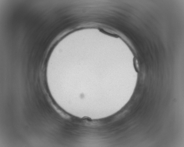 X0000081281053200702081948