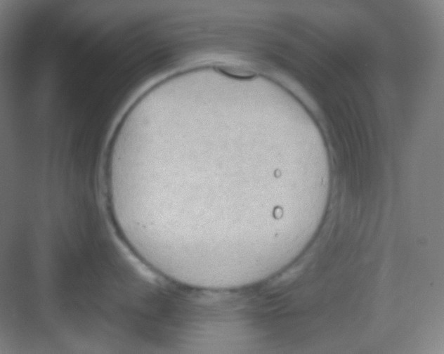 X0000081281056200702081948