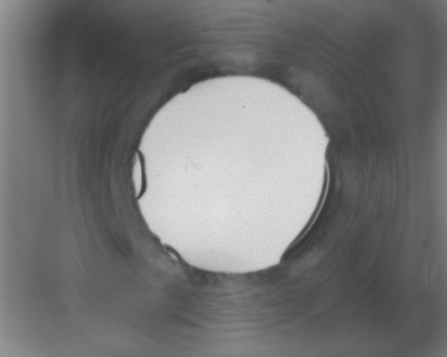 X0000081281057200702081947