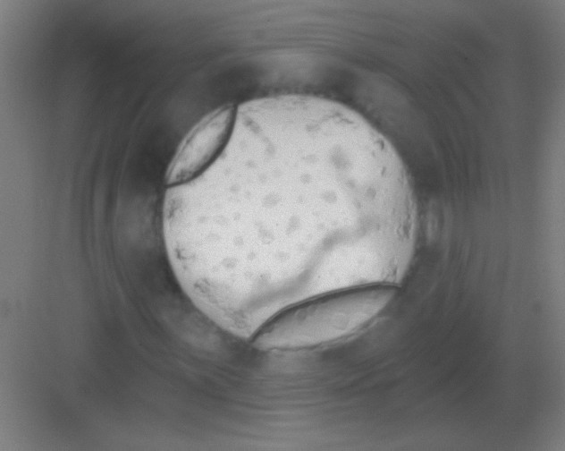 X0000081281059200702081947