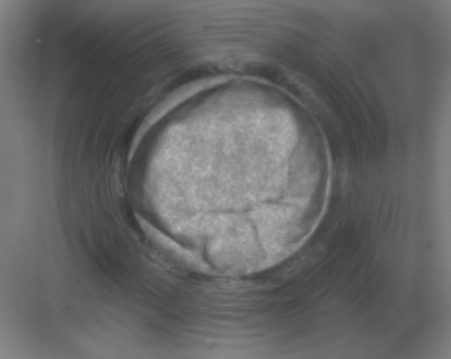 X0000081281060200702081947