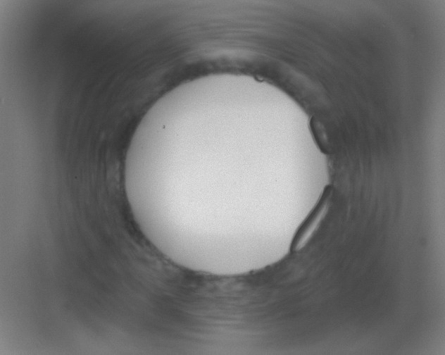 X0000081281061200702081947