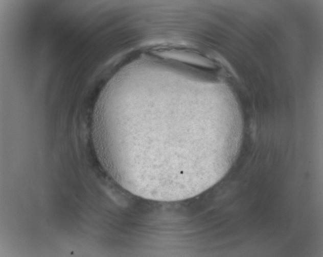 X0000081281064200702081947