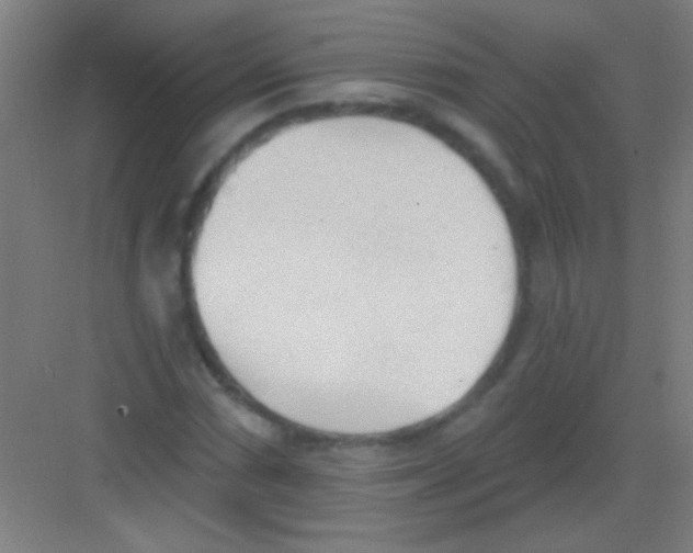 X0000081281066200702081947