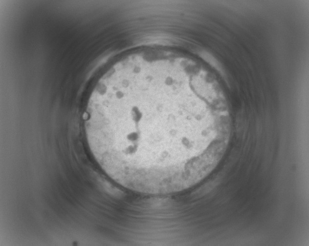 X0000081281067200702081947