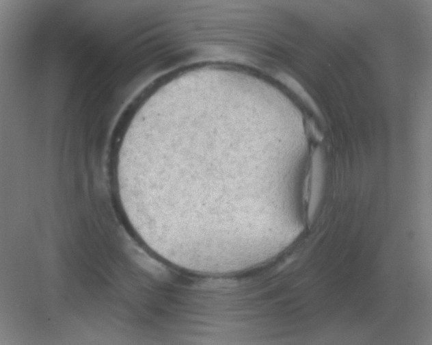 X0000081281068200702081947