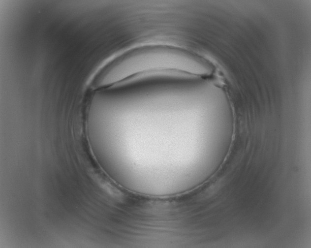 X0000081281069200702081947