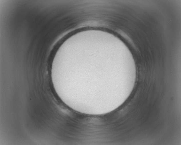 X0000081281070200702081947