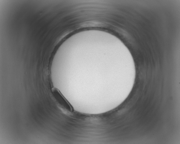 X0000081281073200702081947