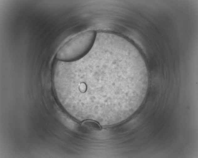 X0000081281075200702081947