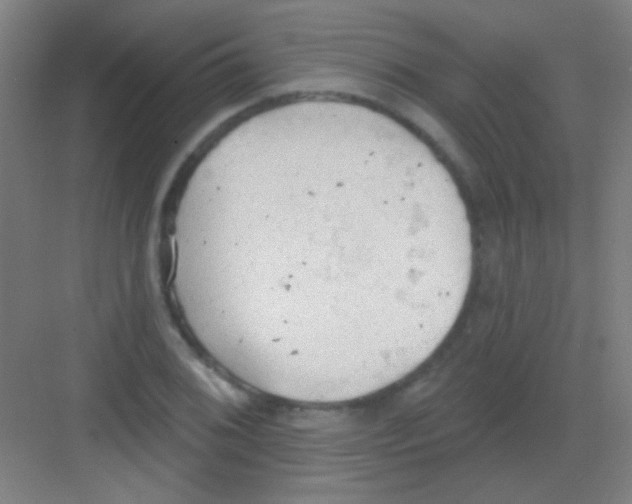 X0000081281076200702081946