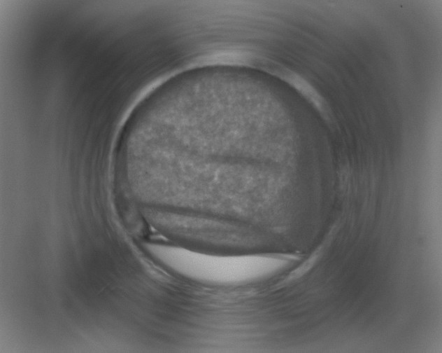 X0000081281077200702081946