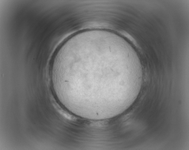 X0000081281078200702081946