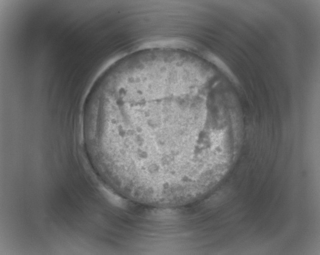 X0000081281079200702081946