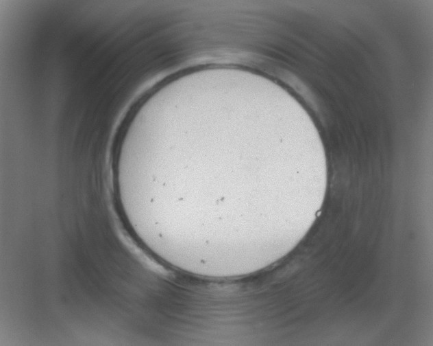 X0000081281080200702081946