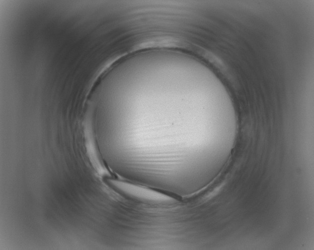 X0000081281081200702081946