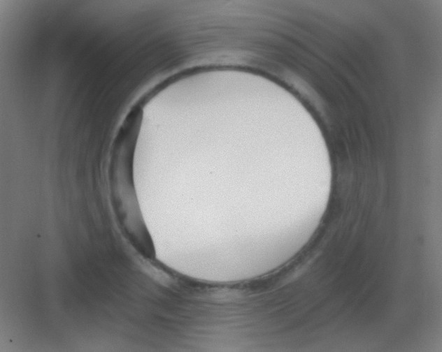 X0000081281085200702081946