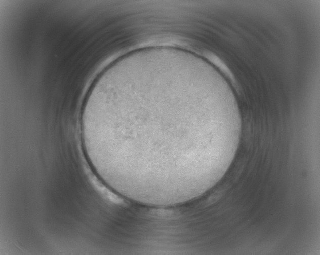 X0000081281088200702081946